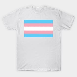 Transgender Flag T-Shirt